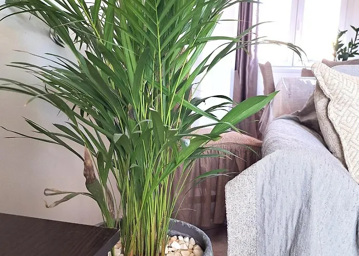 Alepou Leros * Alinda (Leros)